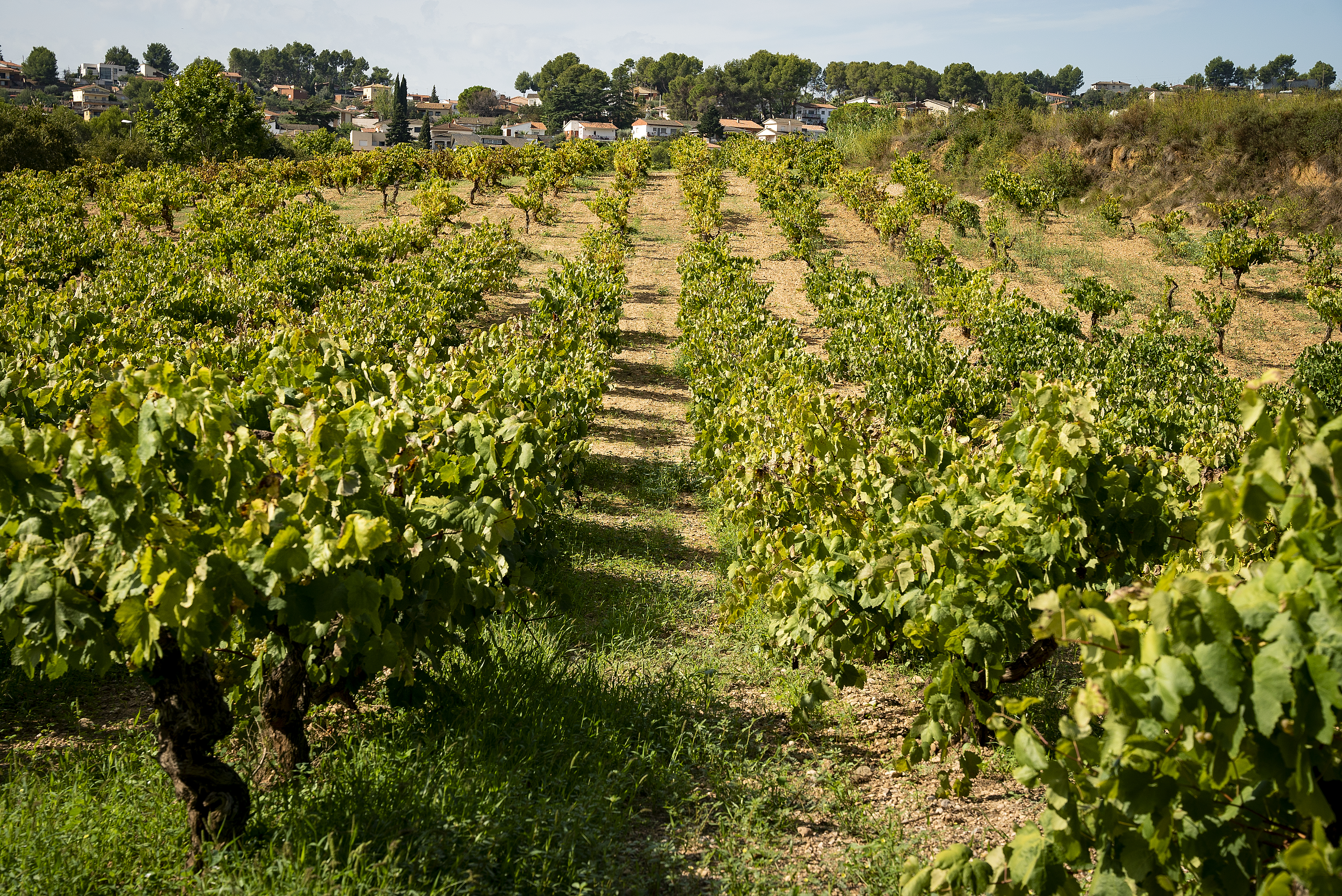 Hostalets de pIerola