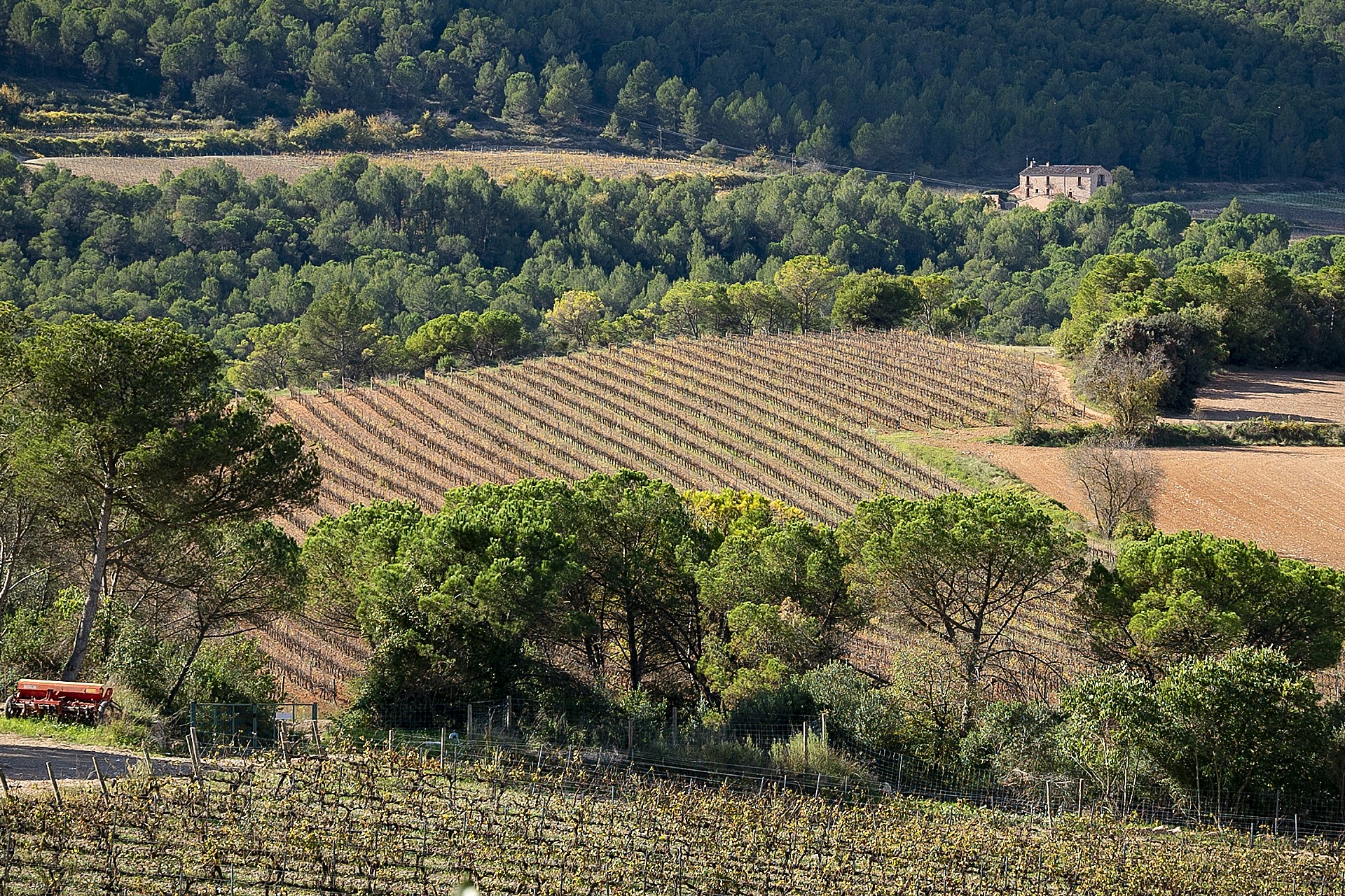 Pla de MoreiTorre de claramunt Patxi