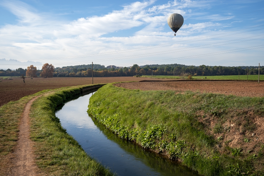 Paisatge agrari sèquia Bages Patxi Uriz DIBA