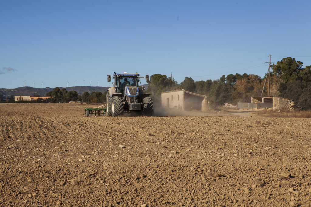 calLLacunaNereaVilaltaPACO