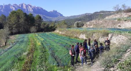 Se celebra el primer microcurs d’horta ecològica organitzat pel Banc de Terres del Parc Rural del Montserrat