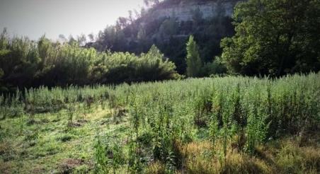 221005_Treballs recuperacio_900px_PereNavarro_0