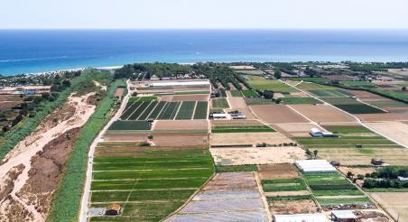 EABT_CArlesGorini_2020