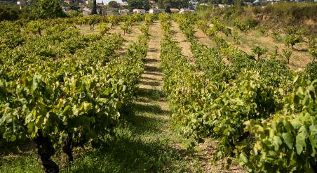 Hostalets de pIerola