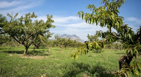 finca a esparreguera