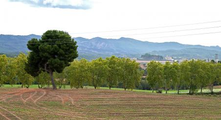 santaMargaridademontbui