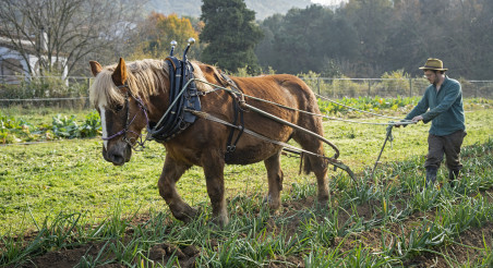 TraccioAnimalElturo2