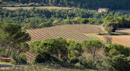 Pla de MoreiTorre de claramunt Patxi
