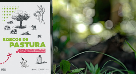 Boscos de pastura Duplex creativity