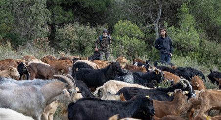 Patxi Uriz relleu ramat Odena