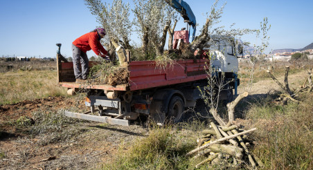 FincaOcata_recuperaciocamps_Patxi_Uriz_2025