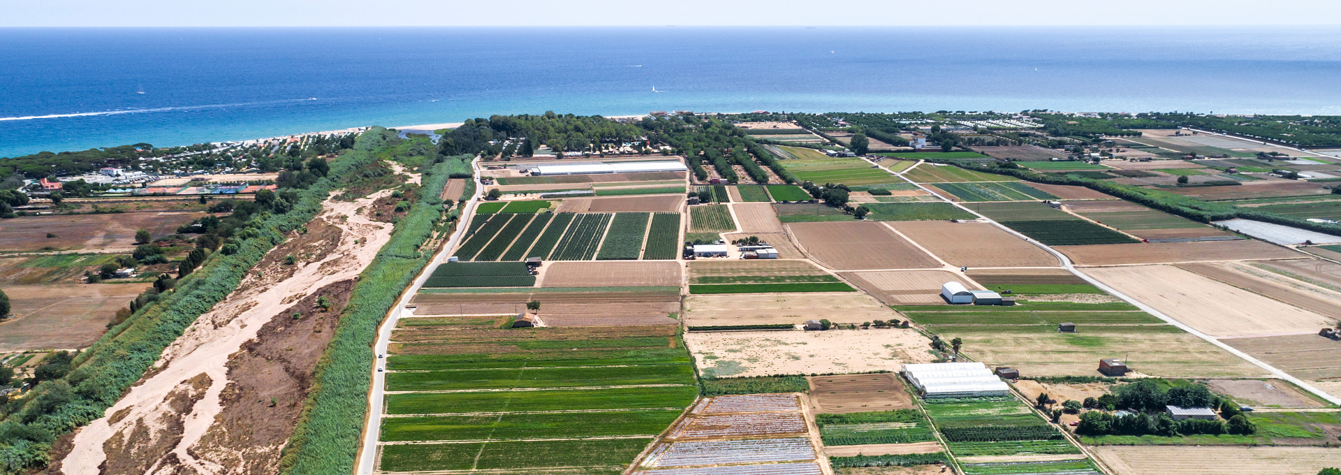 EABT_CArlesGorini_2020